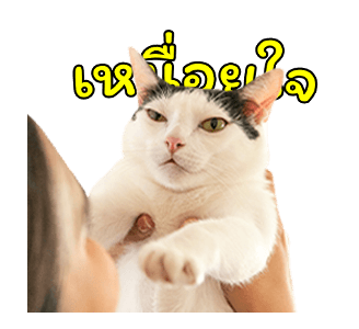 แชปครองโลก ver. มีเสียงนะนิ่ รูปที่ 4
