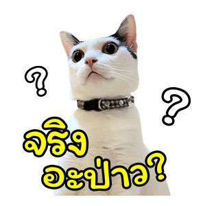 แชปครองโลก ver. มีเสียงนะนิ่ รูปที่ 5
