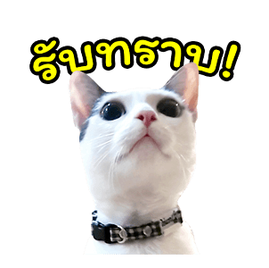 แชปครองโลก ver. มีเสียงนะนิ่ รูปที่ 6