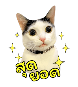 แชปครองโลก ver. มีเสียงนะนิ่ รูปที่ 7
