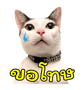 แชปครองโลก ver. มีเสียงนะนิ่ รูปที่ 9