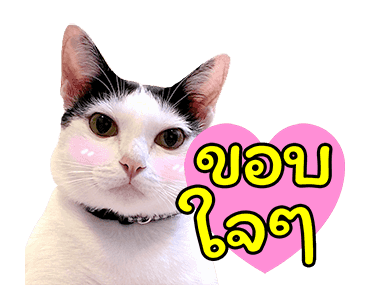 แชปครองโลก ver. มีเสียงนะนิ่ รูปที่ 10