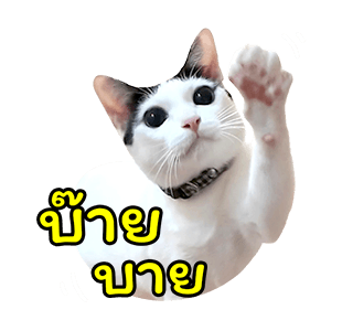 แชปครองโลก ver. มีเสียงนะนิ่ รูปที่ 12
