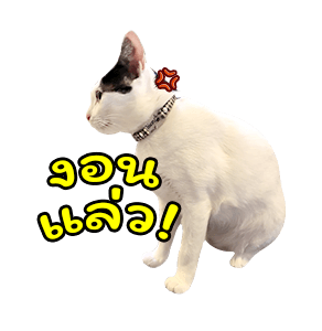 แชปครองโลก ver. มีเสียงนะนิ่ รูปที่ 13