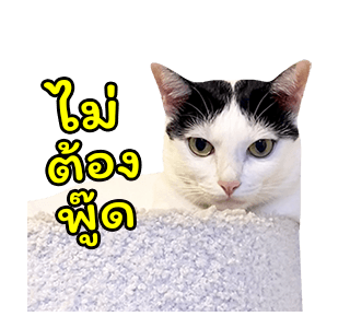 แชปครองโลก ver. มีเสียงนะนิ่ รูปที่ 14