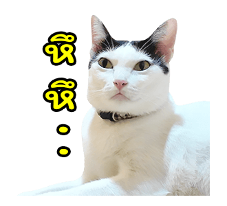 แชปครองโลก ver. มีเสียงนะนิ่ รูปที่ 15