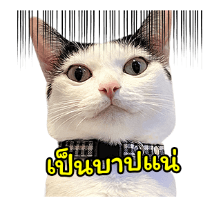 แชปครองโลก ver. มีเสียงนะนิ่ รูปที่ 16