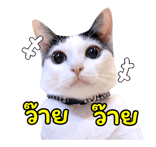 แชปครองโลก ver. มีเสียงนะนิ่ รูปที่ 17