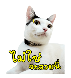 แชปครองโลก ver. มีเสียงนะนิ่ รูปที่ 18