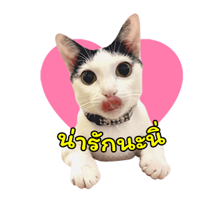 แชปครองโลก ver. มีเสียงนะนิ่ รูปที่ 20