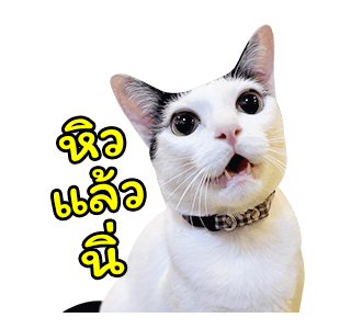 แชปครองโลก ver. มีเสียงนะนิ่ รูปที่ 21