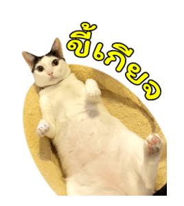 แชปครองโลก ver. มีเสียงนะนิ่ รูปที่ 22