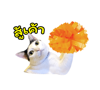 แชปครองโลก ver. มีเสียงนะนิ่ รูปที่ 23