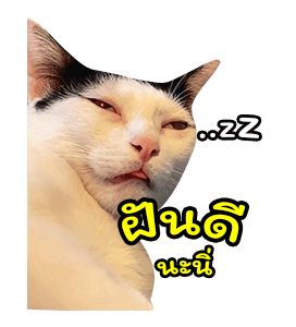 แชปครองโลก ver. มีเสียงนะนิ่ รูปที่ 24