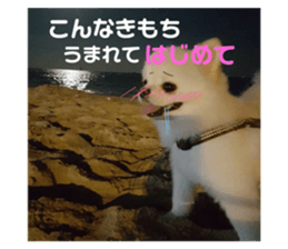 69142666