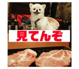 69142667