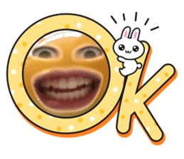 691433804