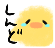 691439365