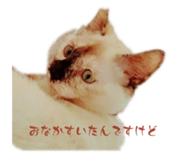 691455228