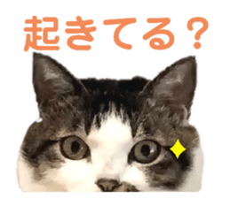 691459475