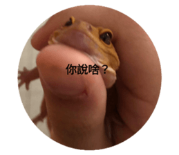 691524857