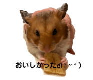 691552337