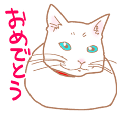 6916185