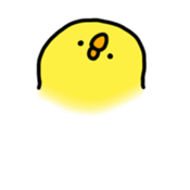 691629896
