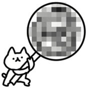 691629907
