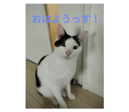 691632209
