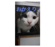 691632210
