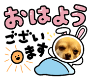 691633515