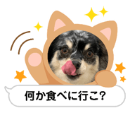691633519