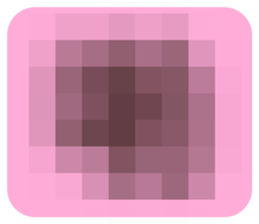 691649776