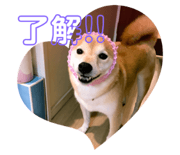 691652770