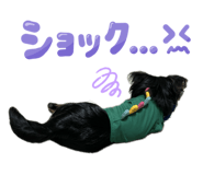 691760080