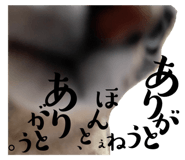 691844967
