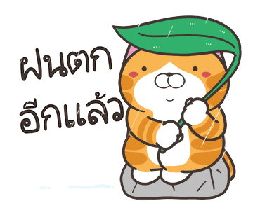 เหมียวซ่า : หวานใจดีเด่น รูปที่ 24