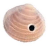 691913495