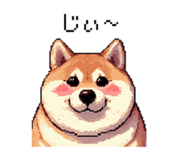691914697
