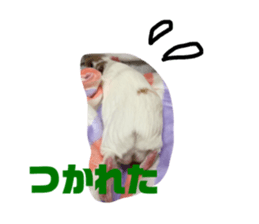 69192019