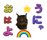 691922328