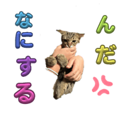 691922332