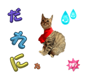 691922336