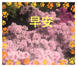 692104123