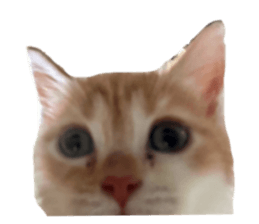 692117020