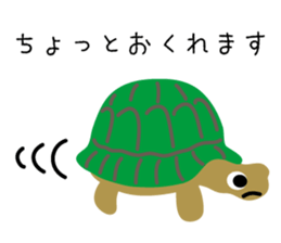 6921172