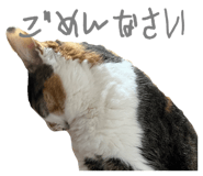 692184293