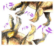 692205785