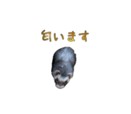 692208004